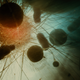 Image for article titled Gorgeous Tree of Life stills look like the greatest science epic of all time